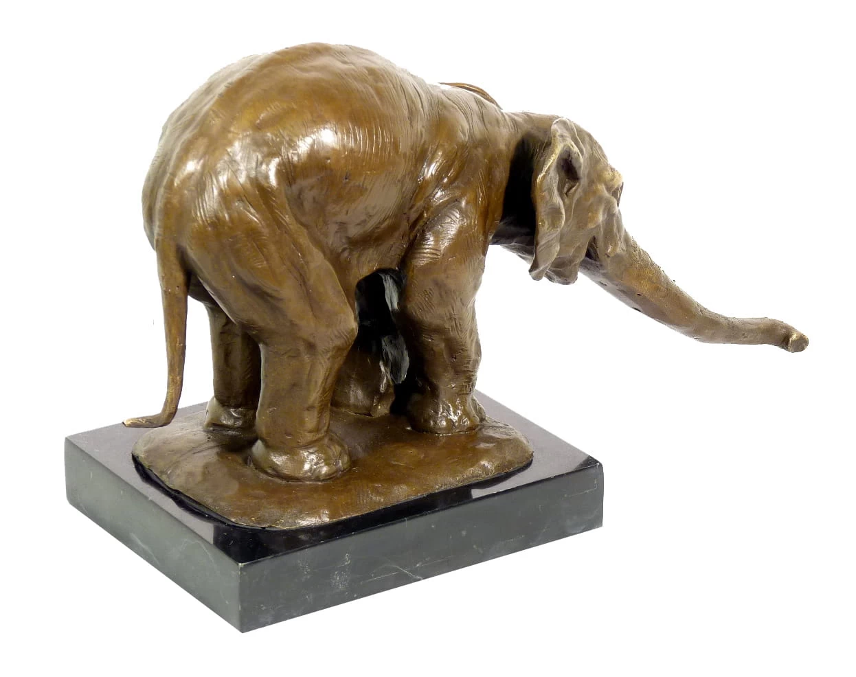 Lifelike Animal Bronze - Elephant Begging - Signed Bugatti 5 Lifelike Animal Bronze - Elephant Begging - Signed Bugatti - Image 5