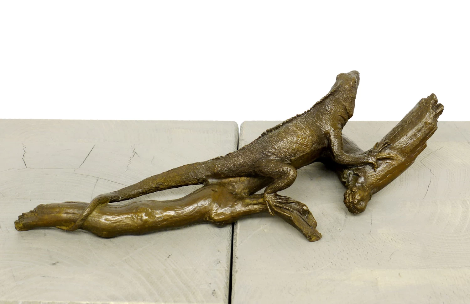 Iguana On A Branch - Modern Animal Sculpture - Signed Milo 3 Iguana On A Branch - Modern Animal Sculpture - Signed Milo - Image 3