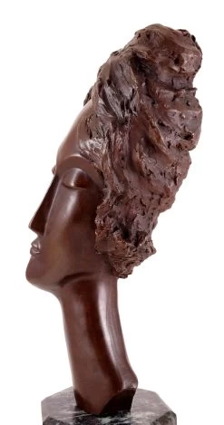 Bronze Sculpture - Woman's Head - Sign. Amedeo Modigliani -Salvador Dali Shop 645 759300ba747ae4