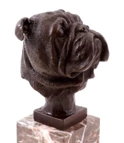 Head Of A French Bulldog - Animal Sculpture - Real Bronze