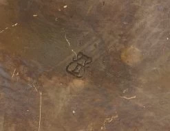 Erotic Bronze - Faun Satisfied Virgin - Real Bronze -Salvador Dali Shop 760 7