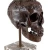 Contemporary Art - Bronze Ritual Skull - Stevens Signed