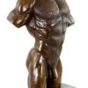 Muscular Male Torso - Bronze Erotic Nude - M.Nick