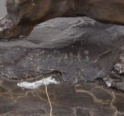 Walking Panther (1904) - Signed Bugatti - Bronze Animal Figurine -Salvador Dali Shop DSC02637