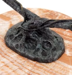 Limited Animal Sculpture - Pa(i)rrot - Signed Milo – Bronze Statue -Salvador Dali Shop DSC04909te8eIvRNJbKbo