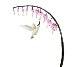 Bird Bronze Hummingbird At Bud - Limited Bronze Sculpture - Animal Statue