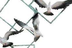 Ways Of Liberty By Martin Klein - Animal Sculpture - Doves - Limited -Salvador Dali Shop DSC05372