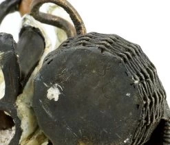 Vienna Bronze - Snake Charmer - Stamped - Two-Piece 9 Vienna Bronze - Snake Charmer - Stamped - Two-Piece -Salvador Dali Shop DSC08216