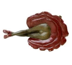 Erotic Vienna Bronze - Girl In The Sun - Girl Statue - Girl Sculpture For Sale -Salvador Dali Shop DSC08247