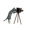 Vienna Bronze - Cat With Camera - Stamped - Hand-Painted