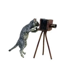 Vienna Bronze - Cat With Camera - Stamped - Hand-Painted