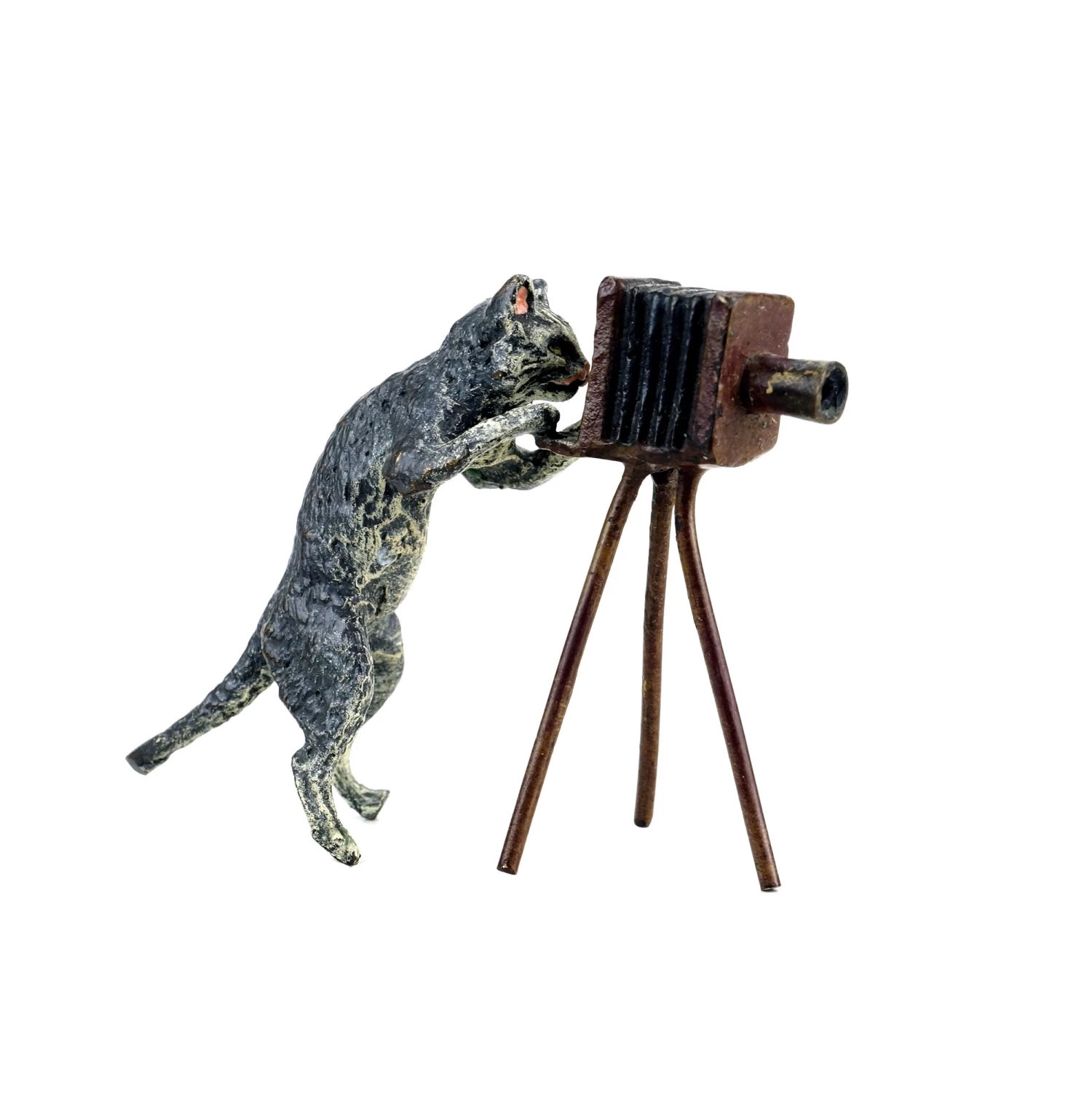 Vienna Bronze - Cat With Camera - Stamped - Hand-Painted 1 Vienna Bronze - Cat With Camera - Stamped - Hand-Painted