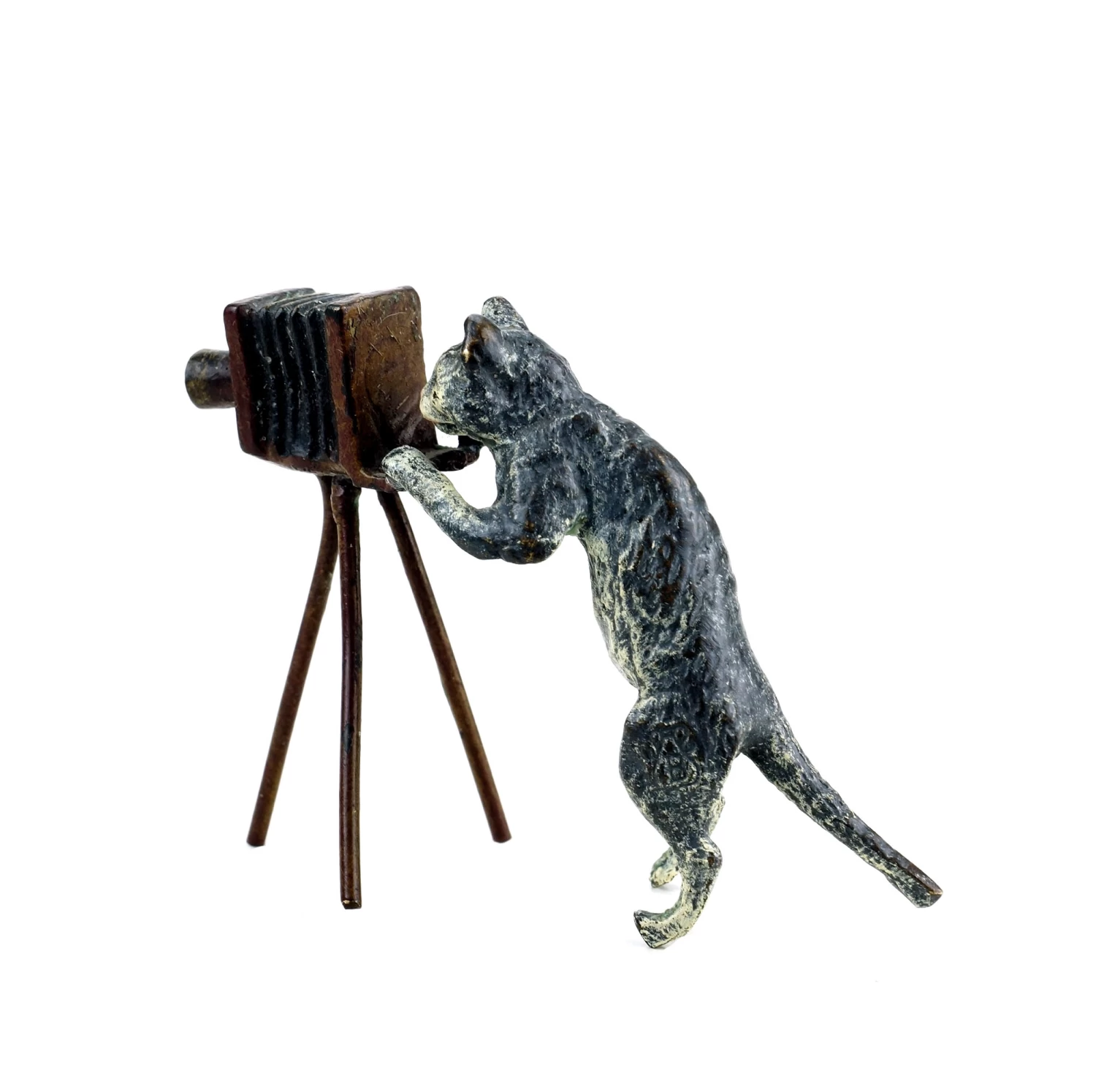 Vienna Bronze - Cat With Camera - Stamped - Hand-Painted 3 Vienna Bronze - Cat With Camera - Stamped - Hand-Painted - Image 3