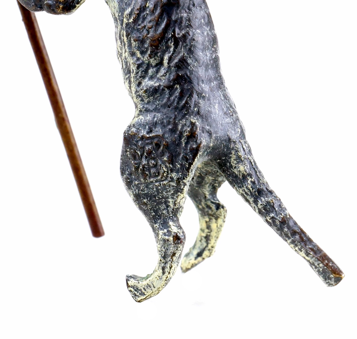 Vienna Bronze - Cat With Camera - Stamped - Hand-Painted 5 Vienna Bronze - Cat With Camera - Stamped - Hand-Painted - Image 5