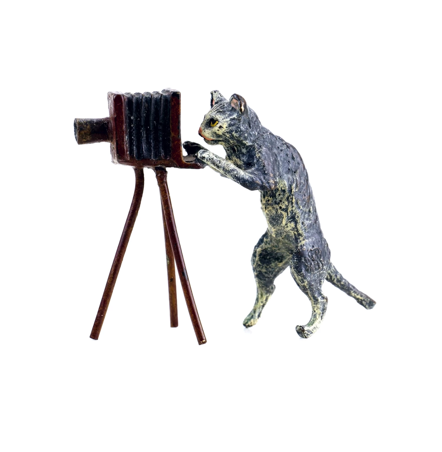 Vienna Bronze - Cat With Camera - Stamped - Hand-Painted 6 Vienna Bronze - Cat With Camera - Stamped - Hand-Painted - Image 6