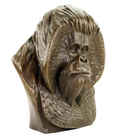 Borneo Orangutan Bust - Large Monkey Head - Animal Figurine - Milo -Salvador Dali Shop DSC09624 Copy