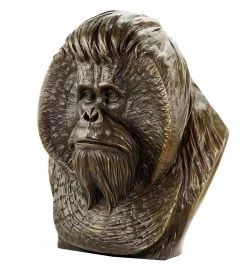 Borneo Orangutan Bust - Large Monkey Head - Animal Figurine - Milo -Salvador Dali Shop DSC09628 Copy